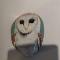 Painted Owl Stone thumbnail