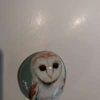 Painted Owl Stone thumbnail