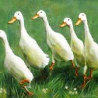 Indian Runner Ducks Giclee Print thumbnail
