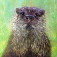 Otter Giclee Print thumbnail