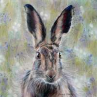 Brown Hare Giclee Print thumbnail