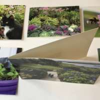 Shetland  Garden Card Pack thumbnail