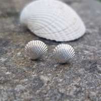 Cockle Shell Studs thumbnail
