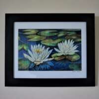 White Waterlilies, Laide Wood thumbnail