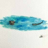 Original Watercolour of an Otter Swimming thumbnail