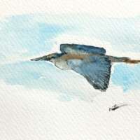 Original Watercolour of a Heron in Flight thumbnail
