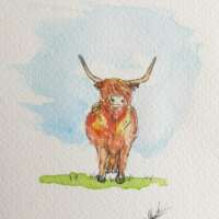 Original Watercolour of a Highland Cow thumbnail
