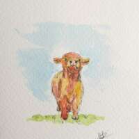 Original Watercolour of a Highland Calf thumbnail