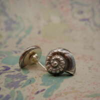 Handcrafted Silver Ammonite Stud Earrings thumbnail