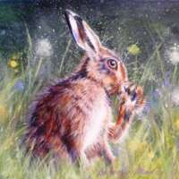 Hare Washing Paw Greetings Card thumbnail