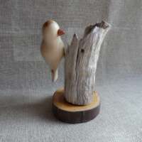 Yew Wood Bird on Driftwood thumbnail