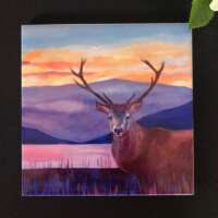 Colours of the Wind Trivet and Coaster Set thumbnail