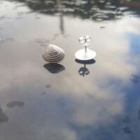 Venus Shell Studs thumbnail