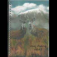 Stag Diary thumbnail