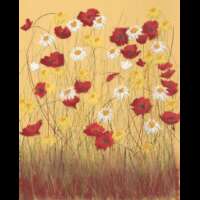 Daisies and Poppies Notebook thumbnail