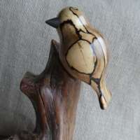 Spalted Beech Trio of  Birds thumbnail