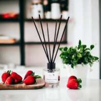 Strawberry and Rhubarb Diffuser thumbnail