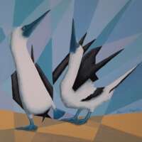 Blue Footed Boobies Courting Painting thumbnail