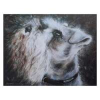 Schnauzer Digital Print thumbnail