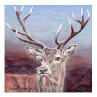 Red Stag Greetings Card thumbnail