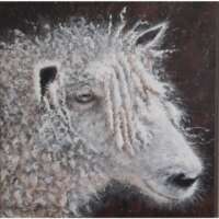 Cotswold Ewe Painting thumbnail