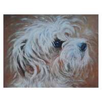 Wire Haired Jack Russell Digital Print thumbnail
