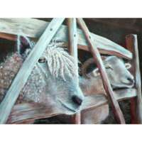 Me and Ewe Greetings Card thumbnail