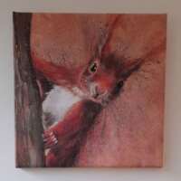 Red Squirrel Canvas Print thumbnail