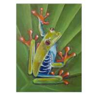 Tree Frog Greetings Card thumbnail