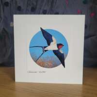 Summer Visitor Card thumbnail