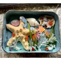 Tinned Starfish and Shell Diorama thumbnail