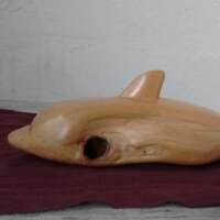 Beachwood Dolphin thumbnail