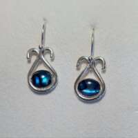 Paua Beauty Earrings thumbnail