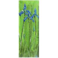 Three Blue Iris Painting thumbnail