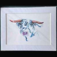 Blue Highland Bull Print thumbnail