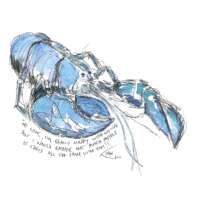 Lobster Print thumbnail