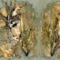 Red Oak Eco Print thumbnail