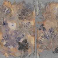 Blackthorn Eco Print thumbnail