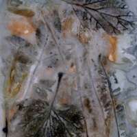 Bramble Eco Print thumbnail