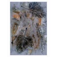 Bramble Eco Print thumbnail