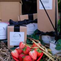 Strawberry and Rhubarb Candle thumbnail