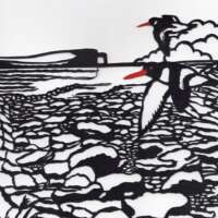 Pack of 5 Orkney Cards thumbnail