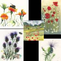 Flower Card Set thumbnail