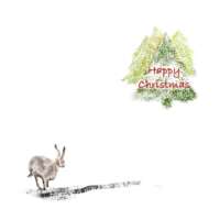 Pack of 5 Square Christmas Cards 2 thumbnail