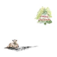 Pack of 5 Square Christmas Cards 1 thumbnail