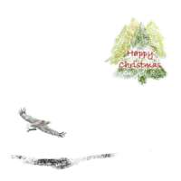 Pack of 5 Square Christmas Cards 1 thumbnail