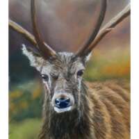 Highland Stag Pastel Painting thumbnail