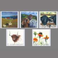 Pack of 5 Square Animals II Cards thumbnail