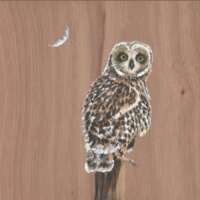 Owl Notebook thumbnail