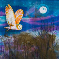 Beautiful Barn Owls Card Pack thumbnail
